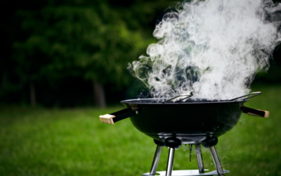 Steam Cleaning a Grill.The Best Steam Cleaner for Grill Cleaning.