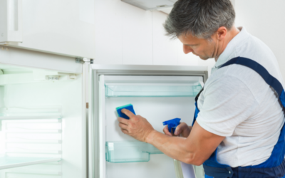 Everything you need to know about refrigerator cleaning: quick, thorough cleaning and odor removal