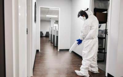 How to effectively disinfect an office using steam?