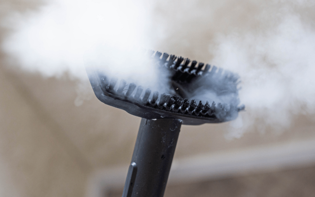 Unleash the Power of Steam: 12 Reasons to Buy Fortador Steam Cleaners